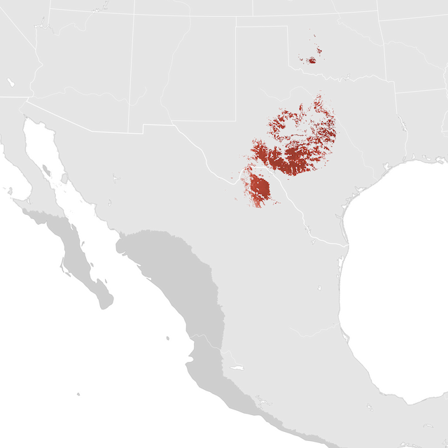 Abundance Map