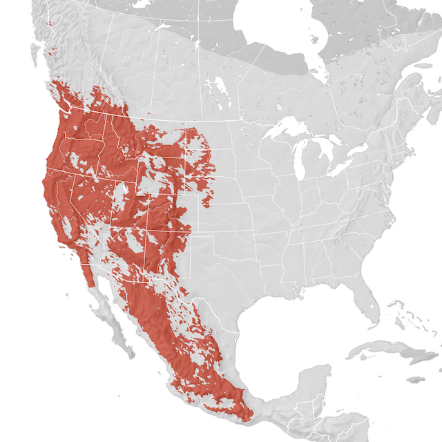 Range Map