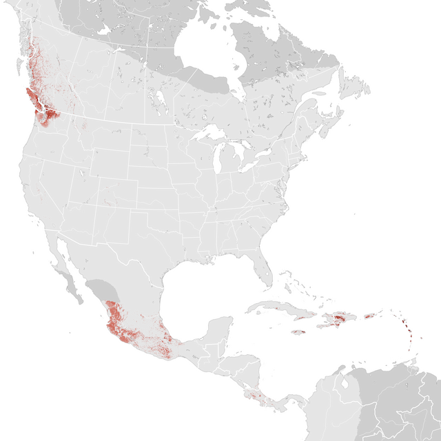 Abundance Map