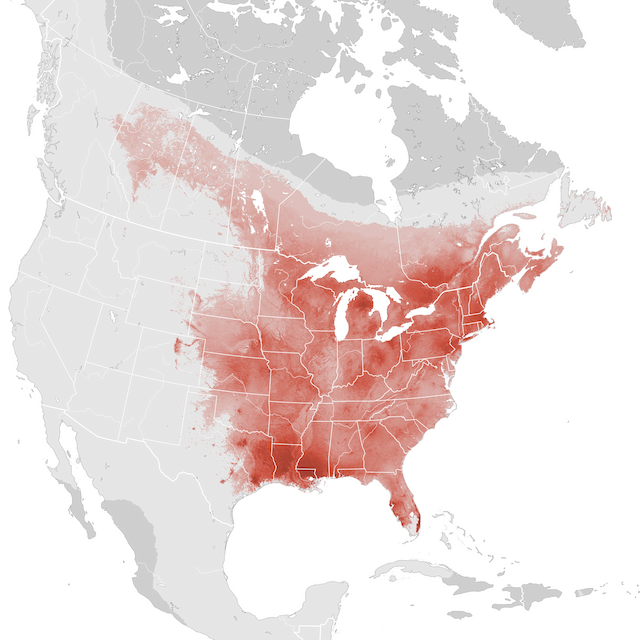 Abundance Map