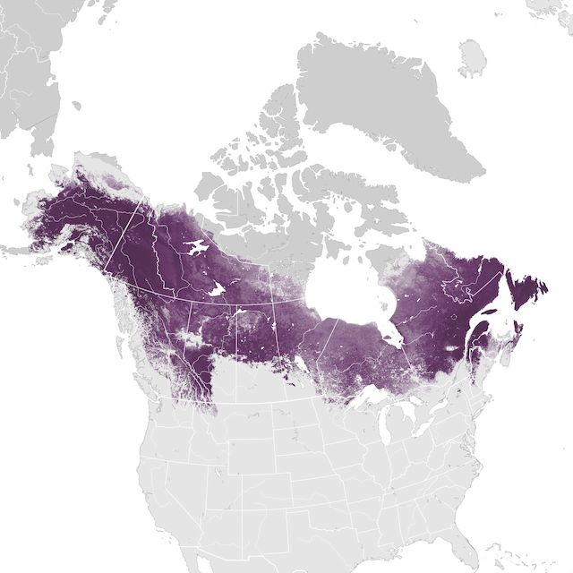 Abundance Map