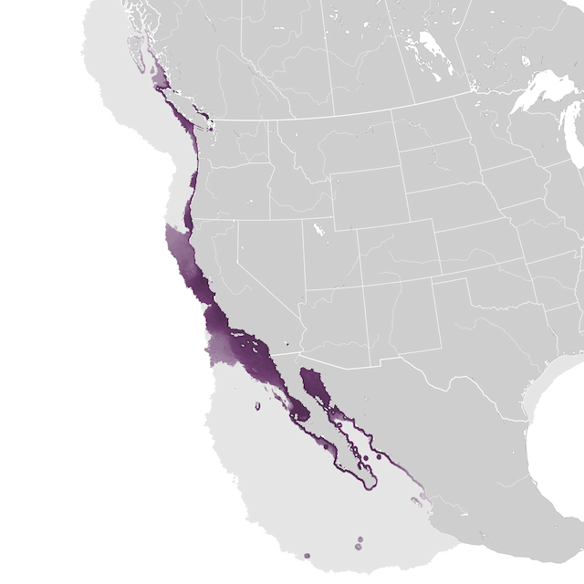 Mapa de abundancia