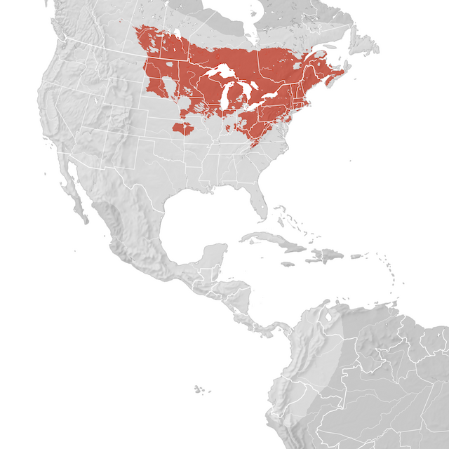 Carte de distribution