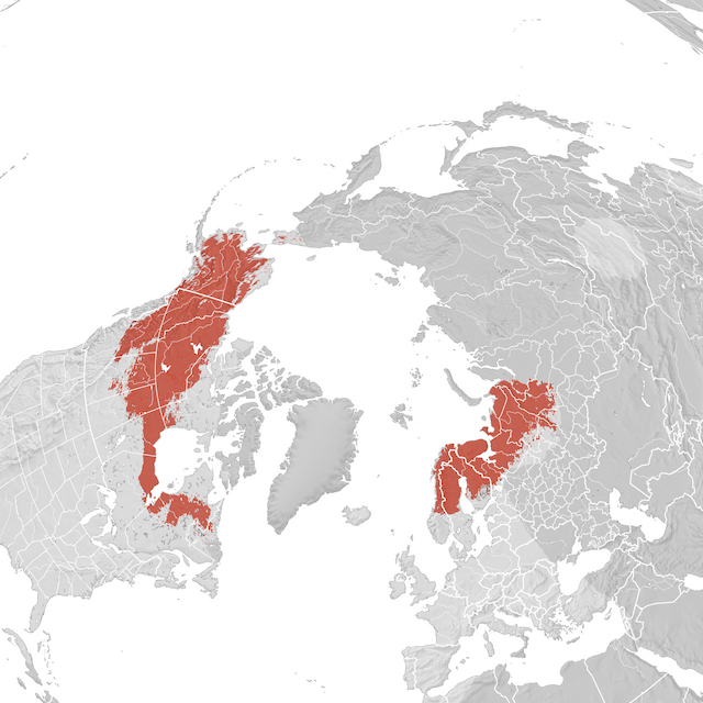 Mappa di distribuzione