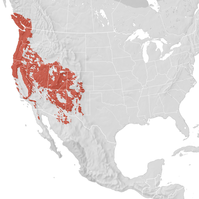 Range Map