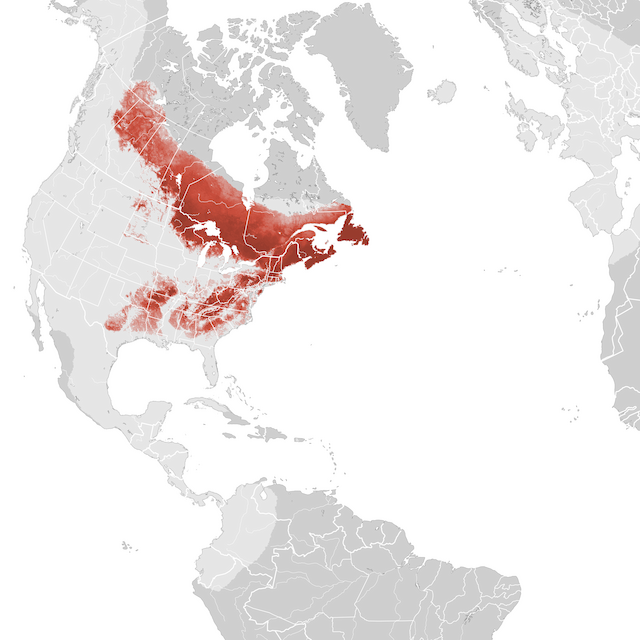 Abundance Map