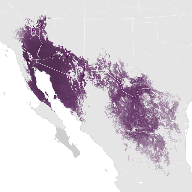 Abundance Map