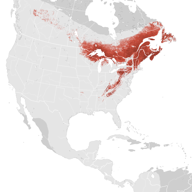 Abundance Map