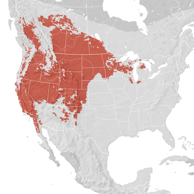 Range Map