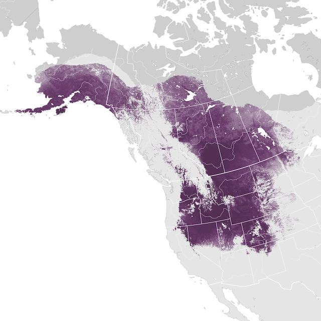 Abundance Map