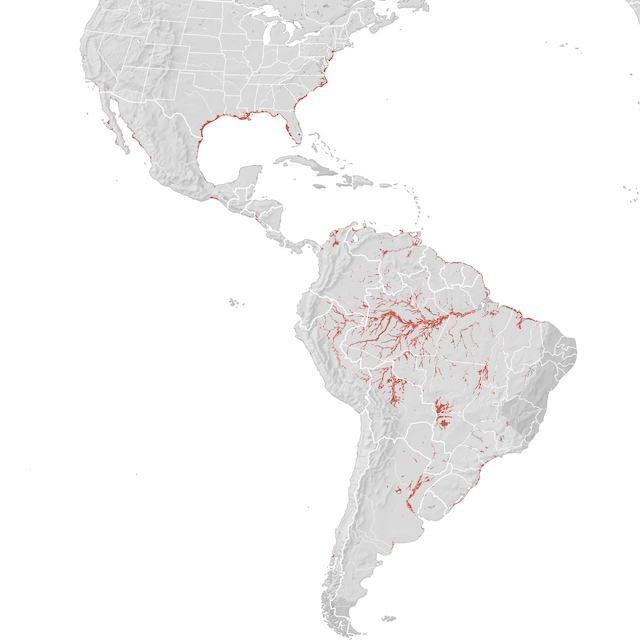 Mappa di distribuzione