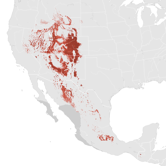 Abundance Map