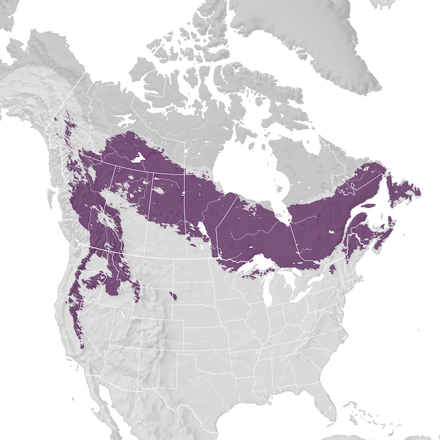 Mappa di distribuzione