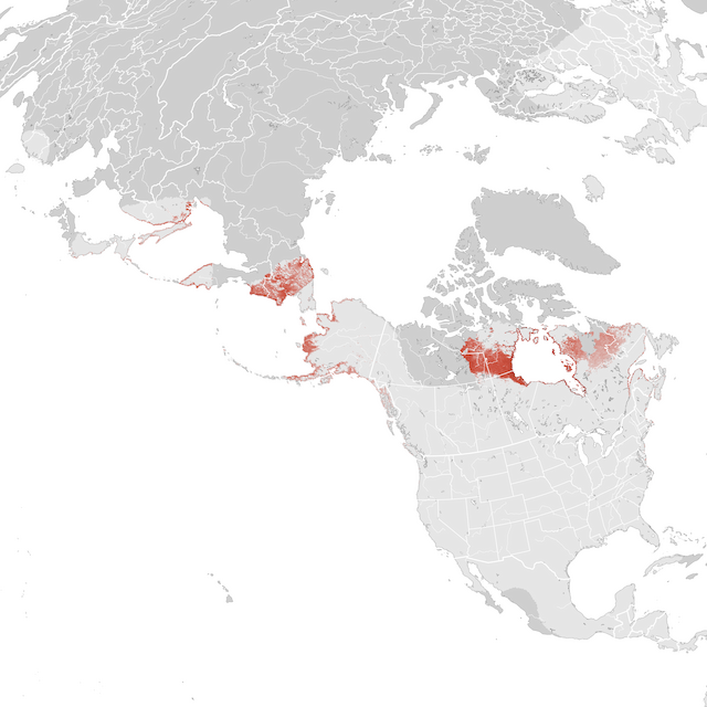 Mappa numerosità