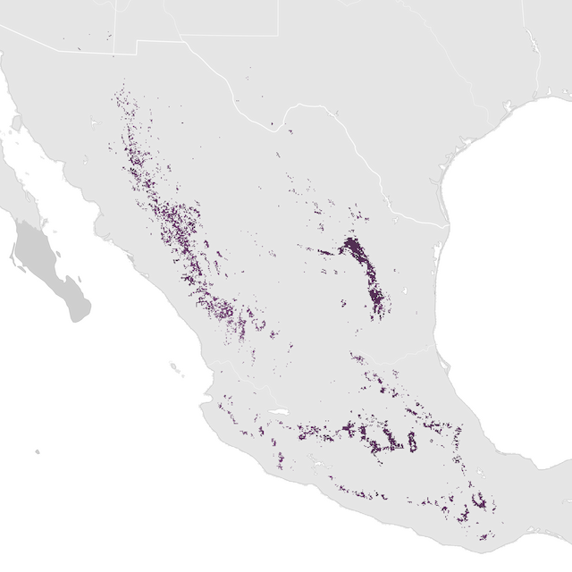 Ugaritasun mapa