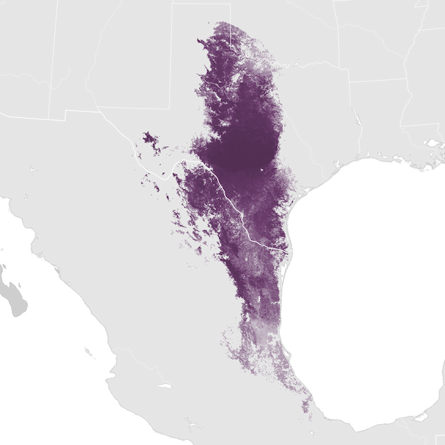 Abundance Map