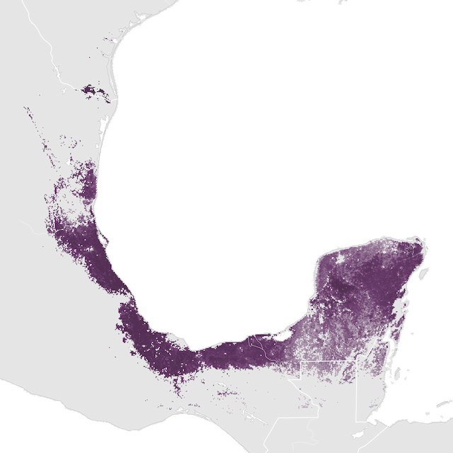 Mapa abundance