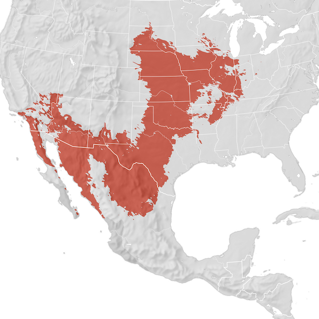 Carte de distribution