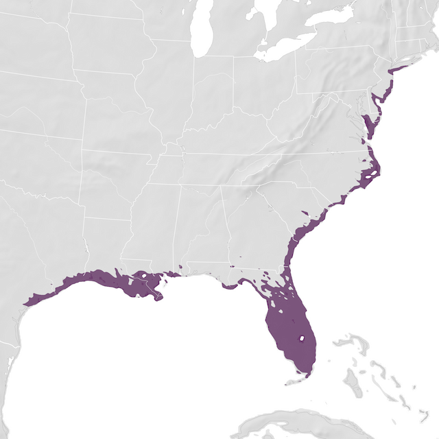 Range Map