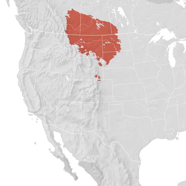 Carte de distribution