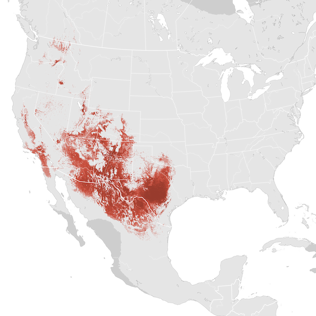 Mapa de abundancia