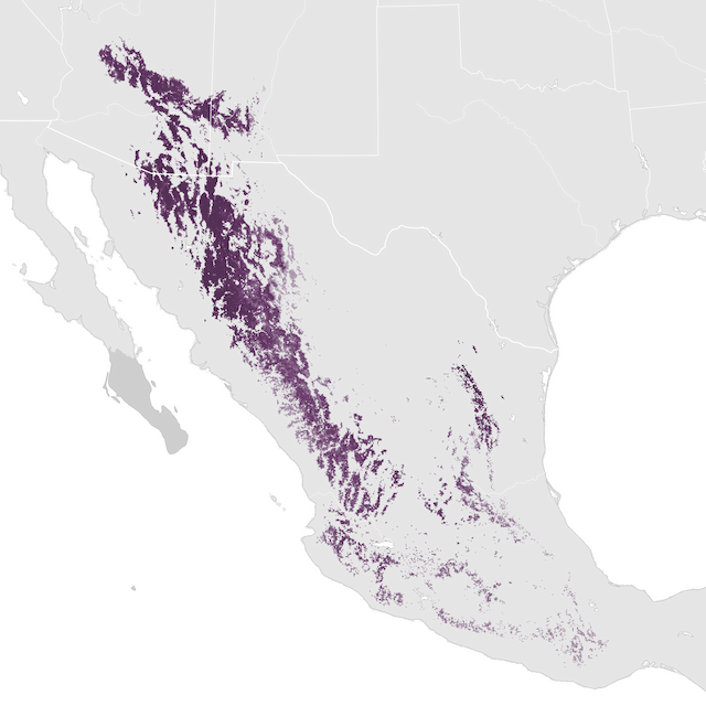 Mapa de Abundância