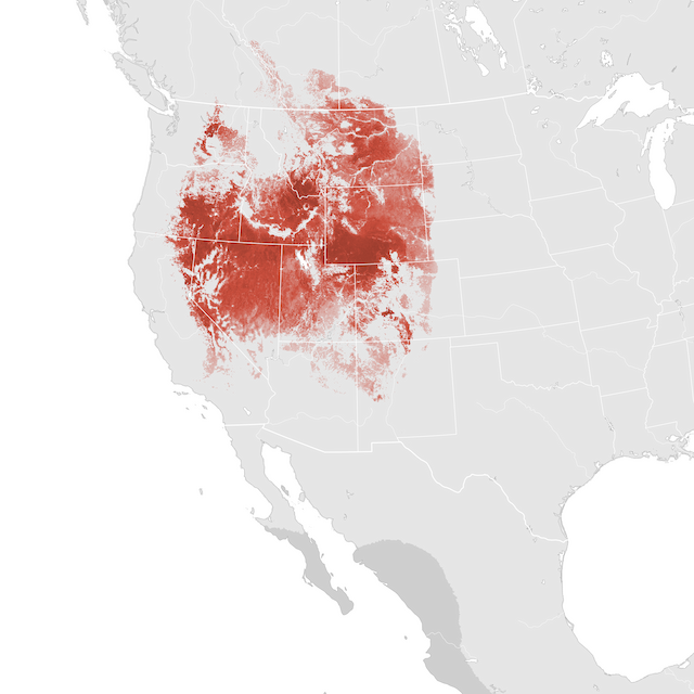 Mapa abundance