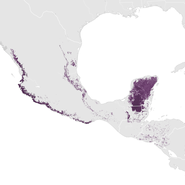 Mapa de Abundância