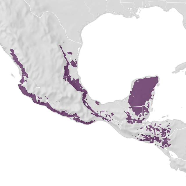 Mapa de distribuição