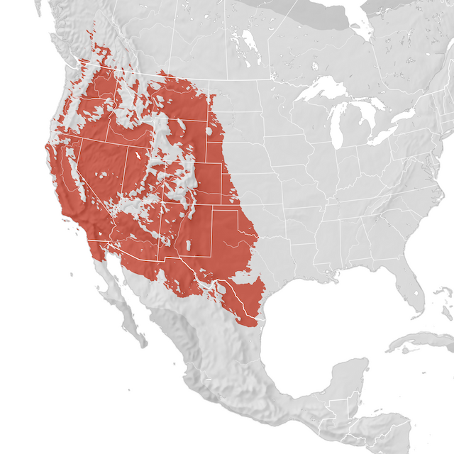 Range Map