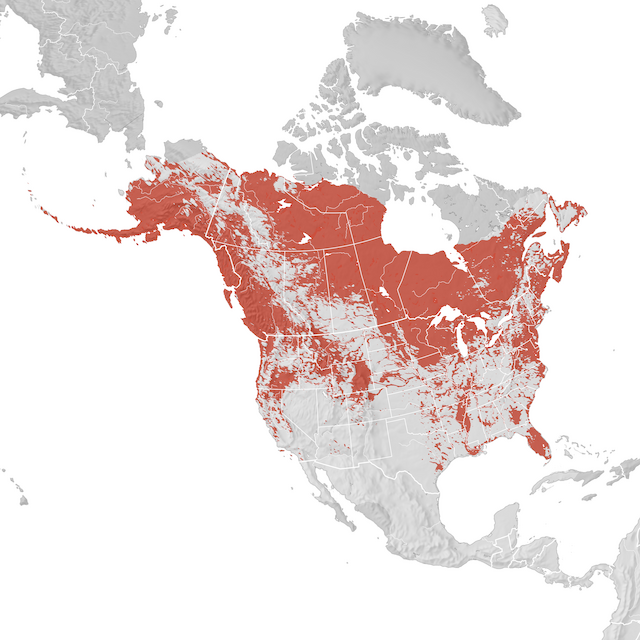 Mapa de distribuição