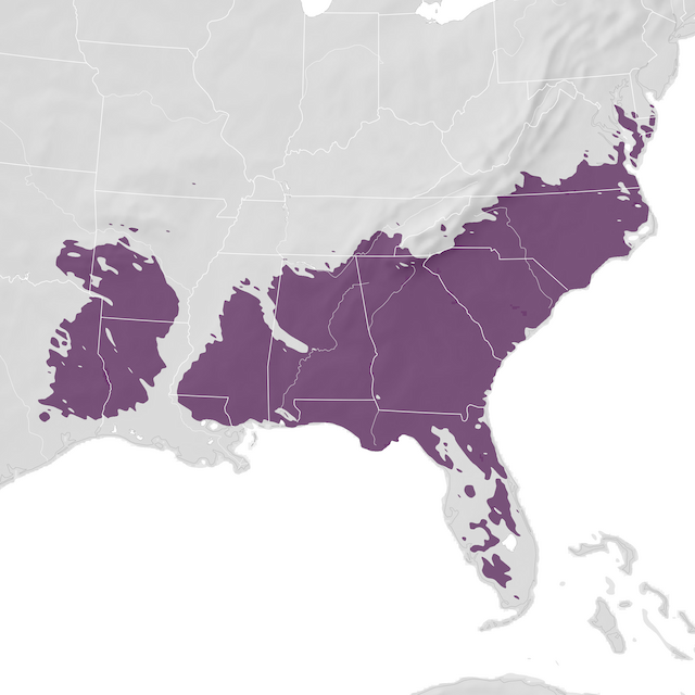 Range Map