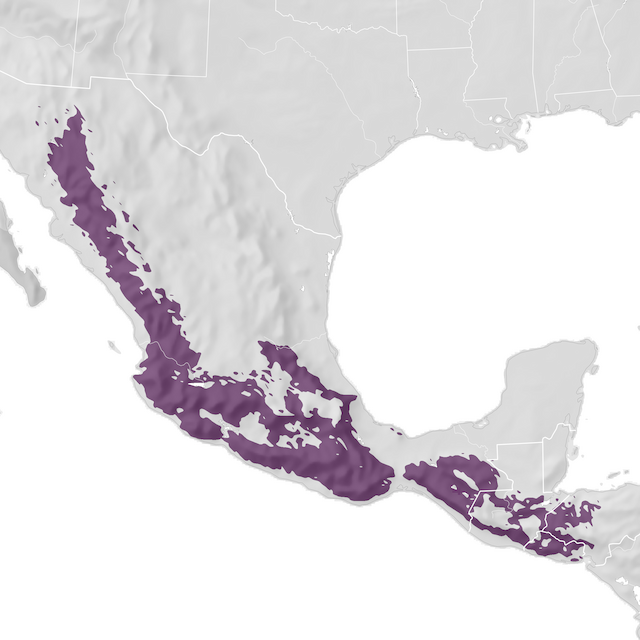 Mapa de distribuição