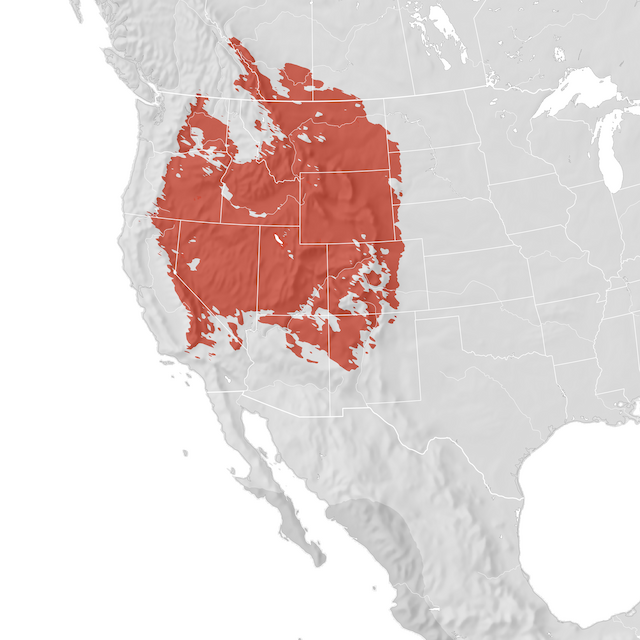 Range Map