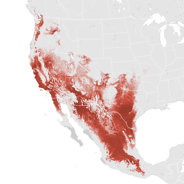 Abundance Map