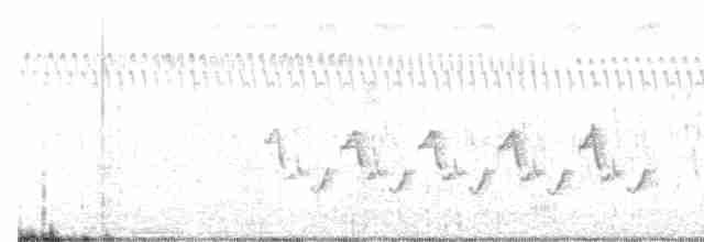 Karolina Çıtkuşu - ML610413511