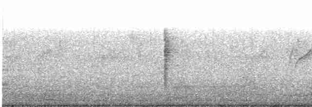 Eastern Orphean Warbler - ML610419532