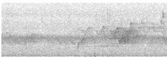 Cerulean Warbler - ML610423617