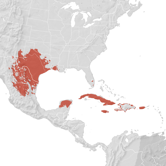 Mapa de distribuição