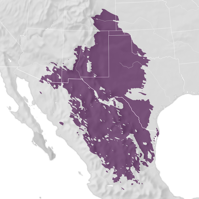 Mapa de distribuição