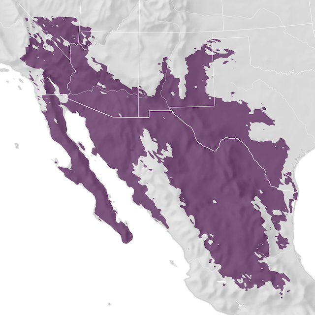 Mapa de distribuição