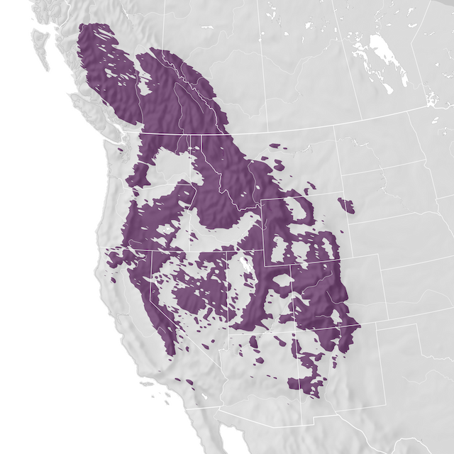 Range Map