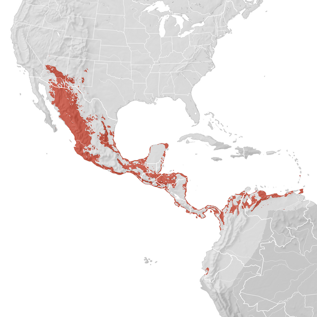 Mapa de Distribuição