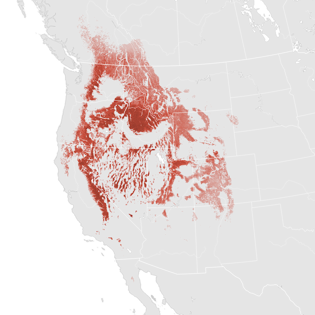 Abundance Map