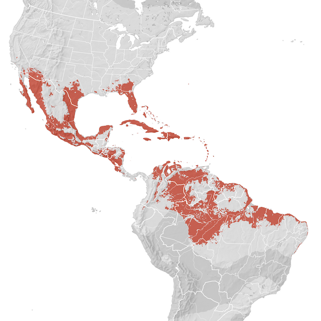 Mappa di distribuzione