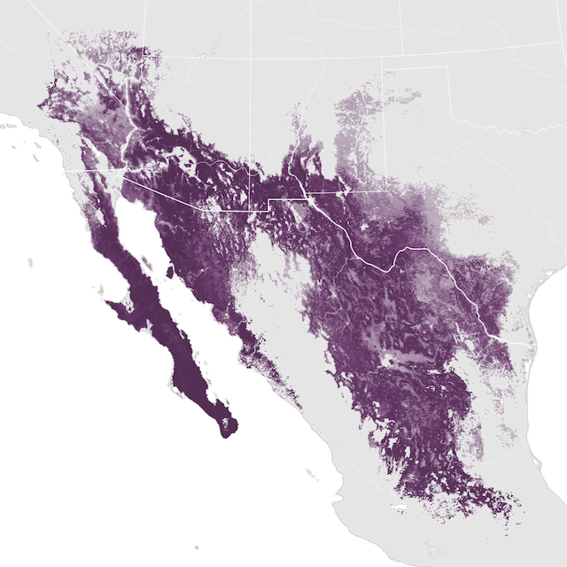 Abundance Map