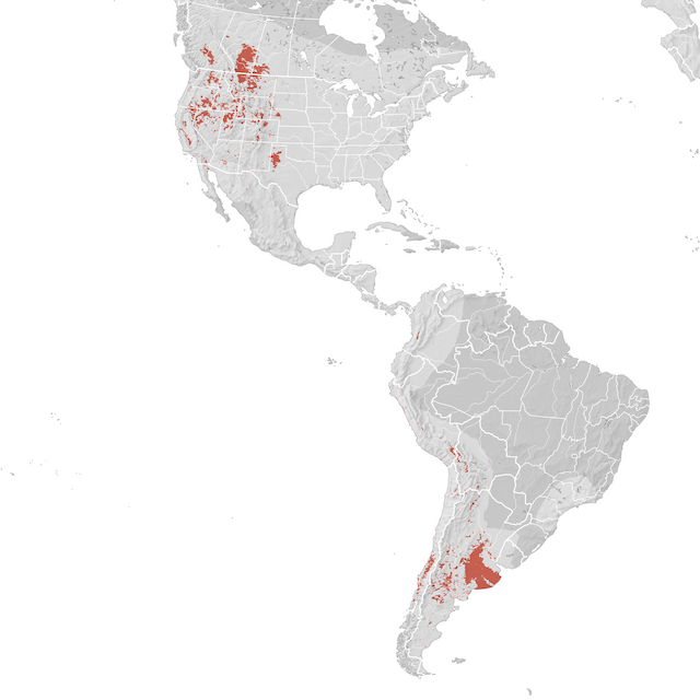 Mapa de Distribuição