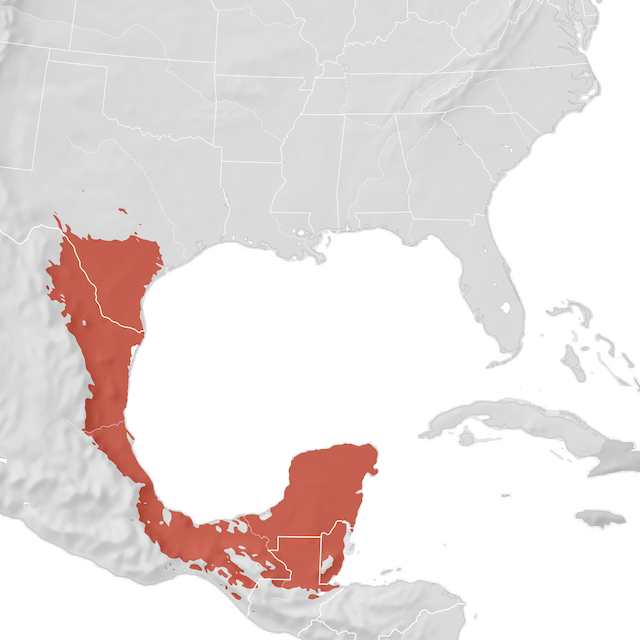 Mappa di distribuzione