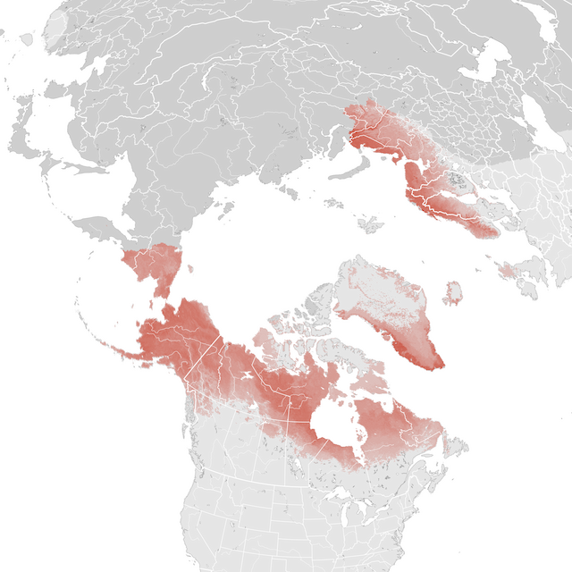 Mapa de Abundância