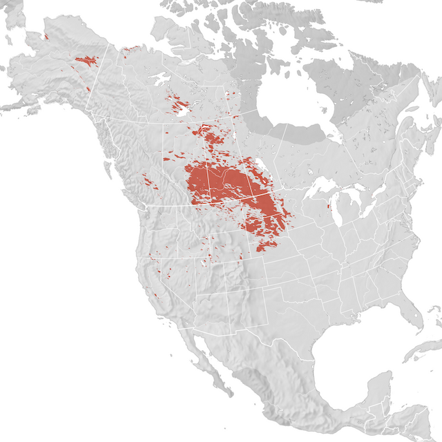 Mappa di distribuzione